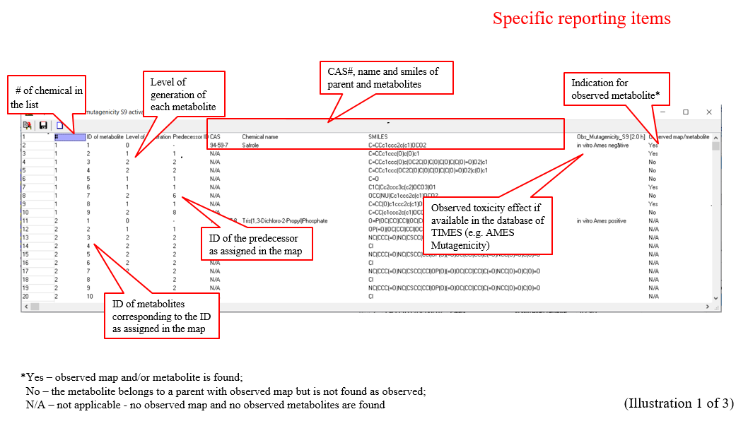 MMreport1